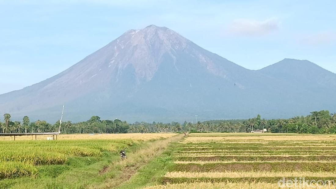 Penampakan Gunung Semeru Usai Muntahkan Lava Pijar Hingga Erupsi