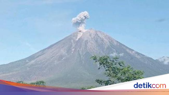 Erupsi Semeru Hari Ini, Tinggi Semburan Abu 700 Meter di Atas Puncak