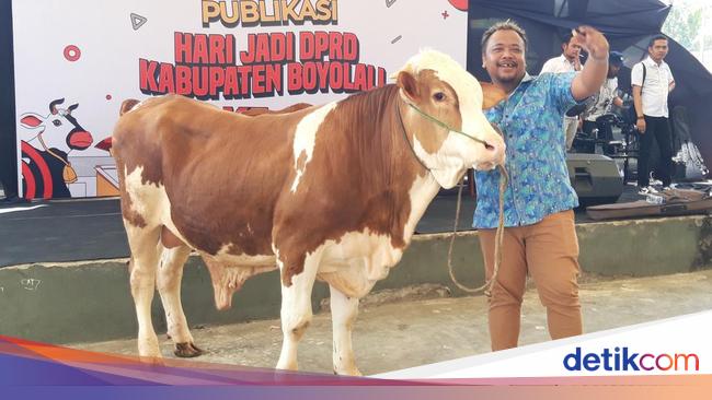 Abah Lala 'Ojo Dibandingke' Dapat 1 Sapi Metal dari DPRD Boyolali, Kok ...