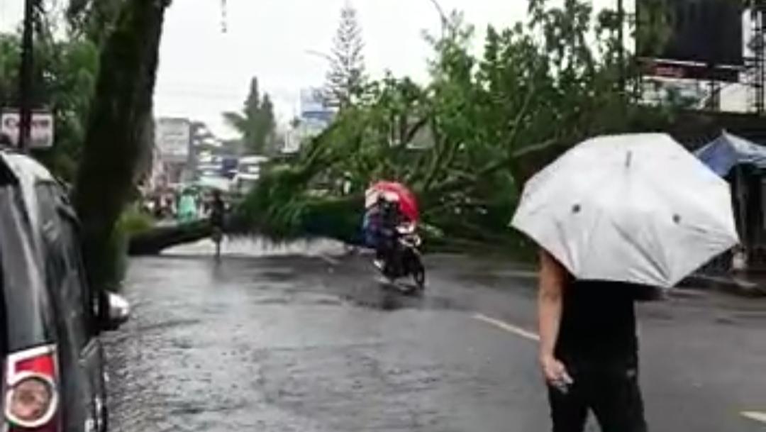 Hujan Deras Disertai Angin Kencang Terjang Tasik, Pohon Besar Tumbang