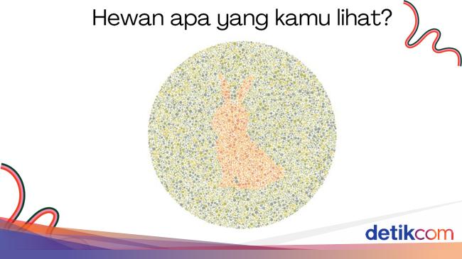 Tes Buta Warna Bisa Tebak Semua Gambar Hewan Ini