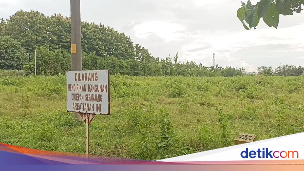7 Fakta Rumah untuk Jokowi di Colomadu