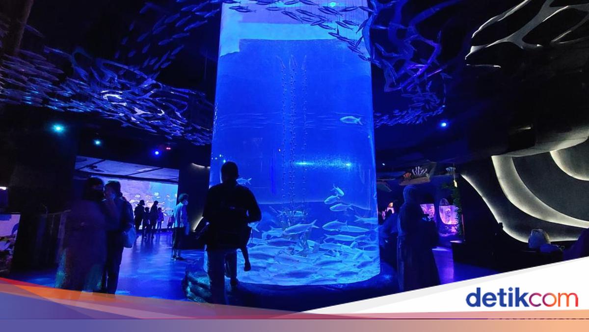 Lebaran di Jakarta? Main ke Jakarta Aquarium Saja