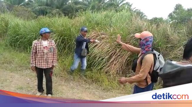 2 Kelompok Massa Bentrok Soal Lahan Sawit Di Mesuji 1 Orang Ditembak