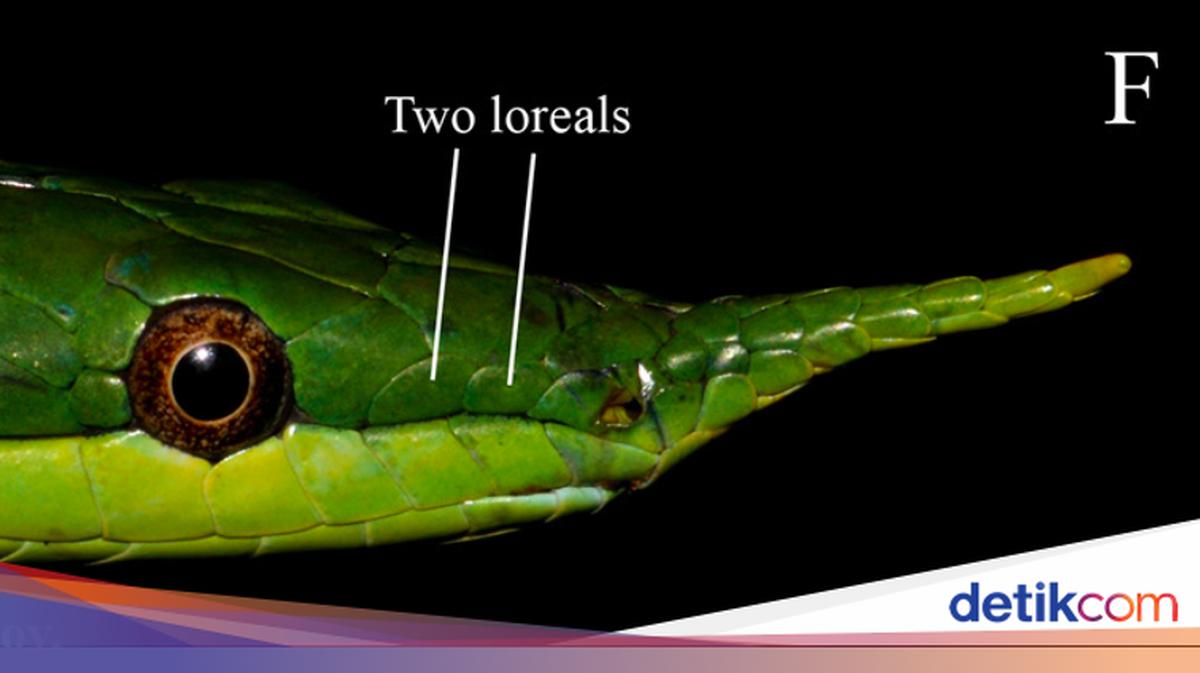 Ular uchrashganda joja ozini begonaga berdi