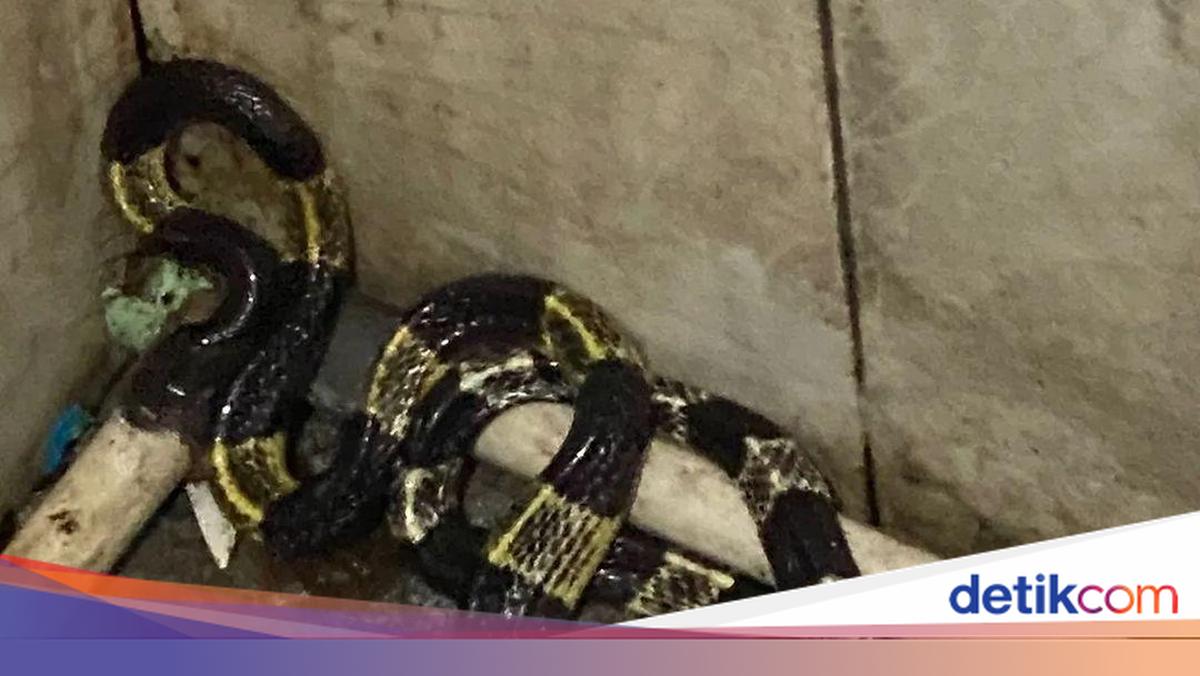 Men uyda yalangoch otiraman Alisa Burmistrova porno