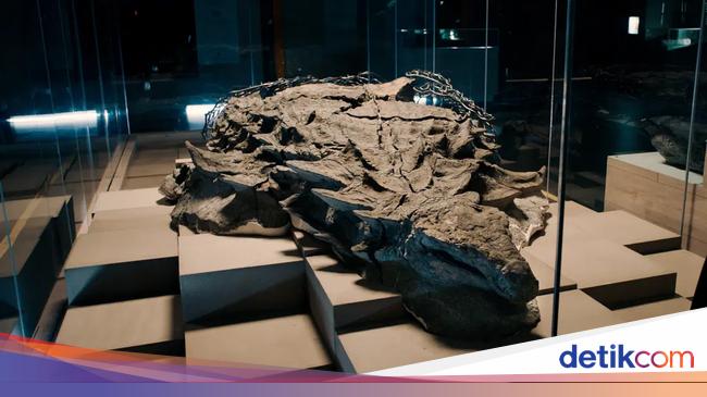 Once displayed in Canada, this dinosaur fossil claims to be the best in the world