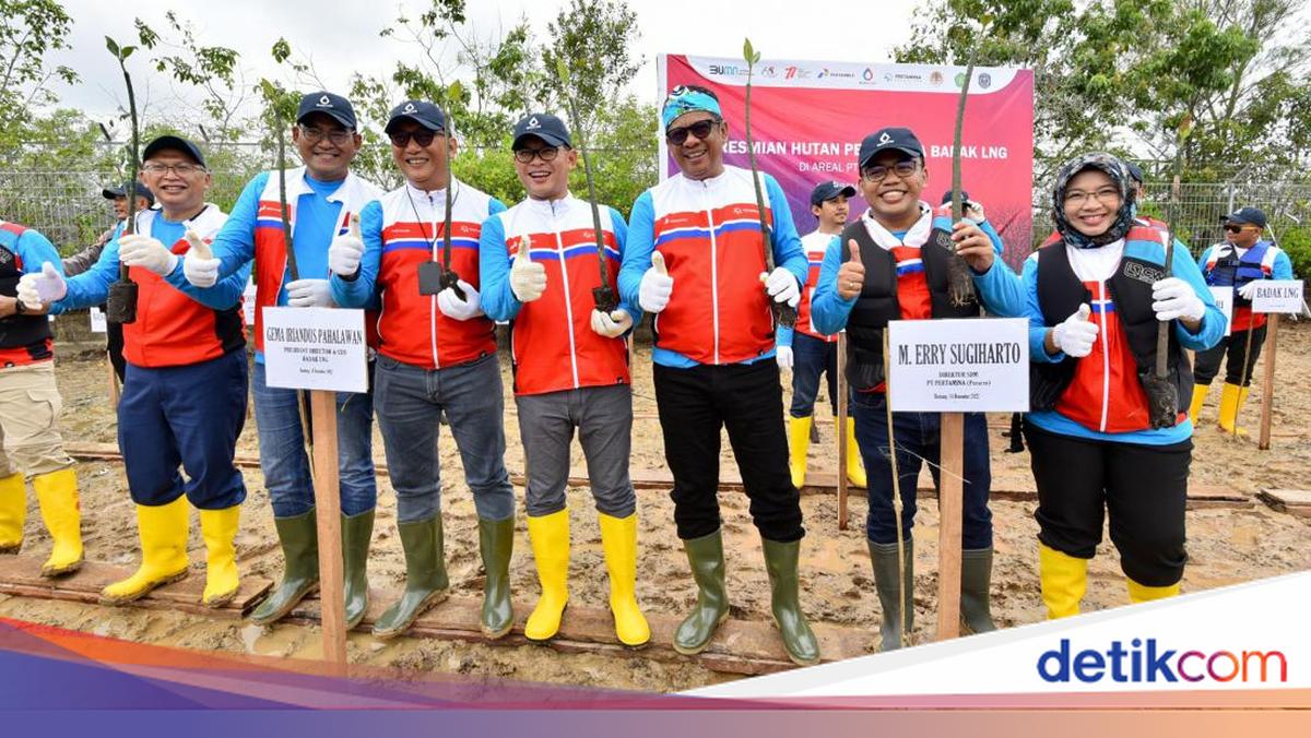 Program Hutan Mangrove Jadi Langkah Pertamina Tekan Emisi Karbon