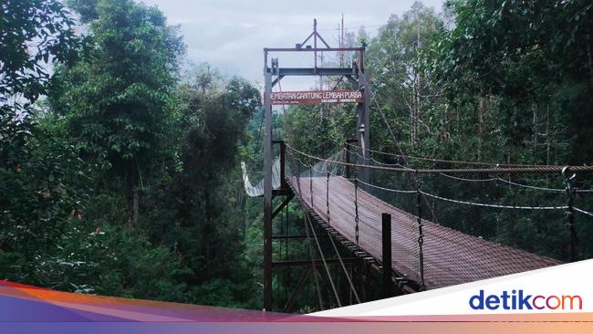 10 Ribu Wisatawan Diprediksi Berlibur ke Situ Gunung di Sukabumi