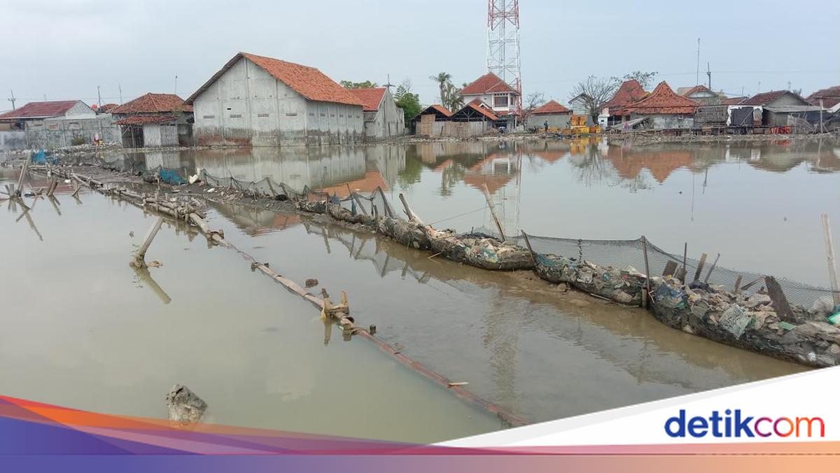 Mitigasi Banjir Rob: Panduan Umum Hadapi Ancaman Pesisir