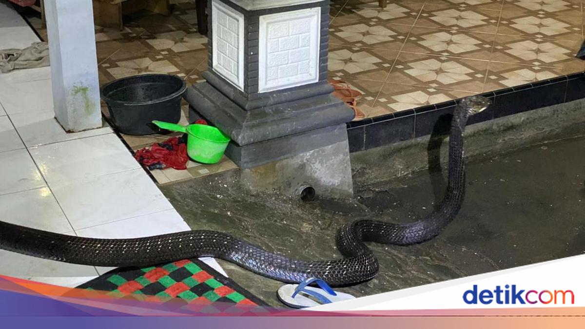 Eri bilan jinsiy aloqada bolgan rus xotinlarini onlayn tomosha qiling.