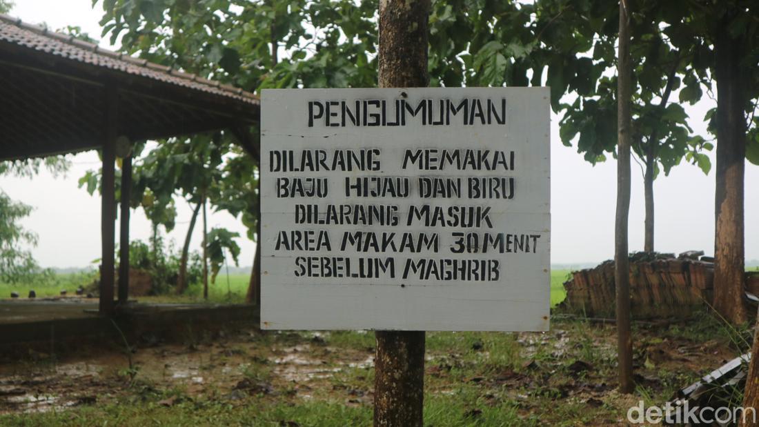 Retreat Yoga Anti-Mainstream Di Dusun Hijau