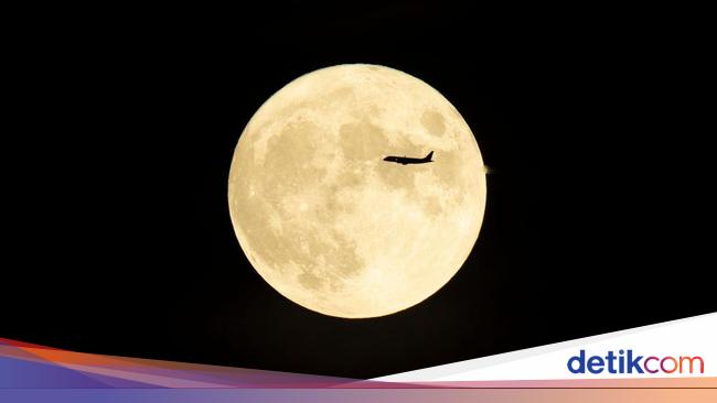 Fenomena Astronomi Juli 2025: Ada Buck Moon dan Hujan Meteor Aquarids