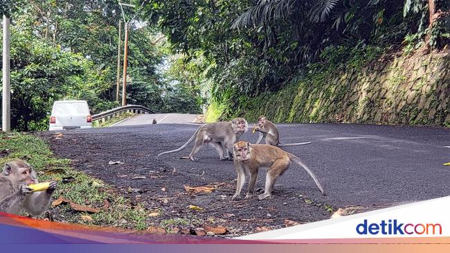 Hati-hati di Tanjakan Cisarakan