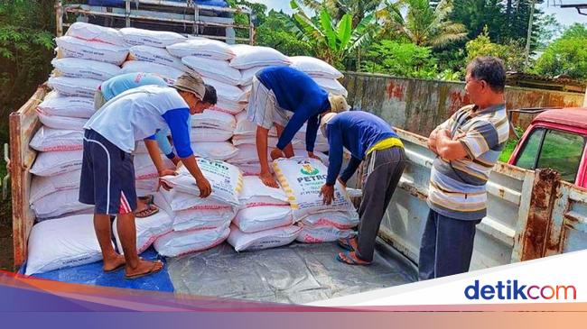 Terungkap! Penyaluran Pupuk Subsidi Ternyata Ruwet-Terlalu Banyak Aturan