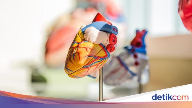 Causes and Treatment of Palpitations: Information from a Heart and Blood Vessel Specialist