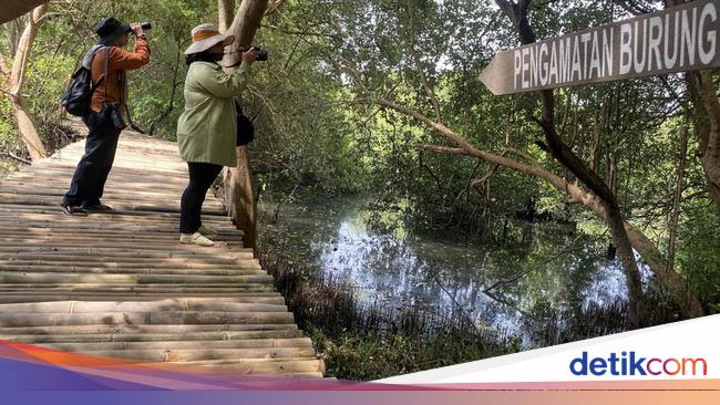 Rekomendasi Liburan Dekat Jakarta tapi Adem Selain Puncak dan Lembang