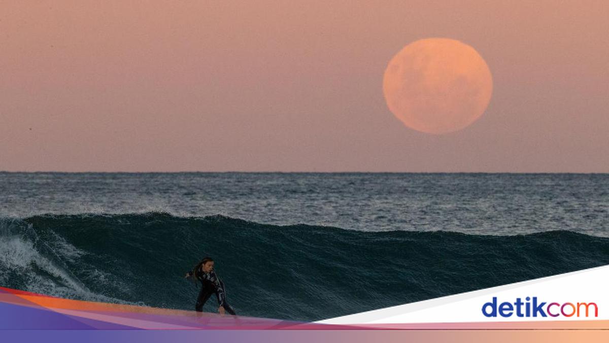 Ada Super New Moon Juni 2026, BMKG Ingatkan Potensi Banjir Rob