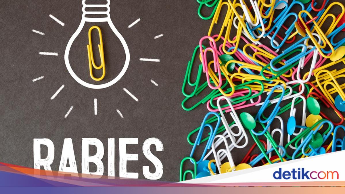 8 Provinsi Bebas Rabies, Ini Daftarnya