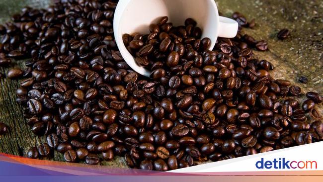 8 Biji Kopi Terbaik di Dunia, Ada yang Berasal dari Indonesia!