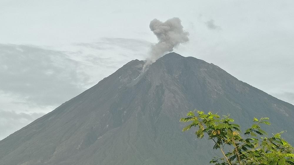 Gunung Semeru Erupsi, Ketinggian Letusan 500 Meter Dari Puncak