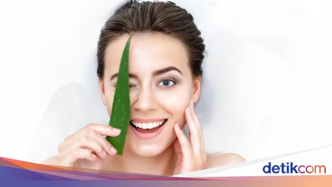 Cara Menghilangkan Toh Brahma 5 Cara Menghilangkan Bekas Jerawat Hitam di Pipi dengan Mudah