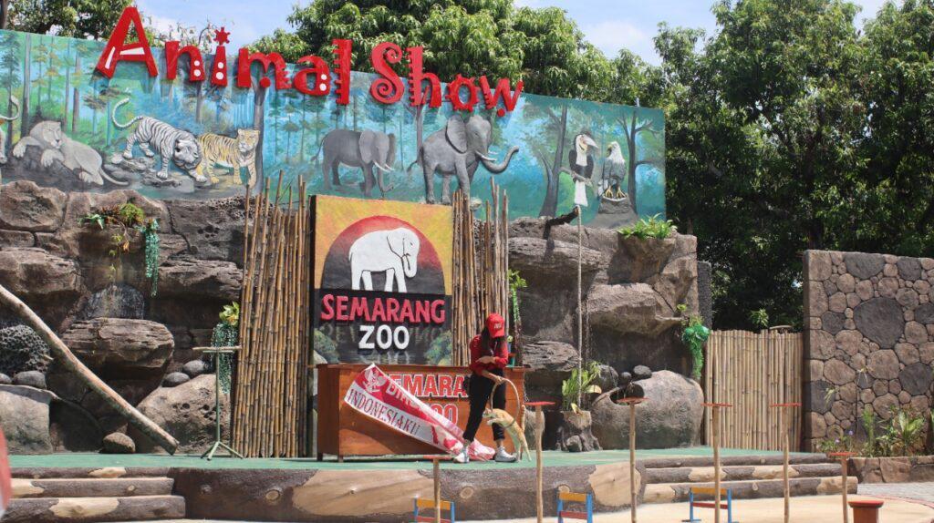 Semarang Zoo: Harga Tiket, Wahana, Dan Jam Buka