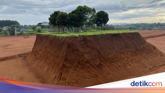 Viral of the ‘sacred’ grave in the middle of a housing project in Depok