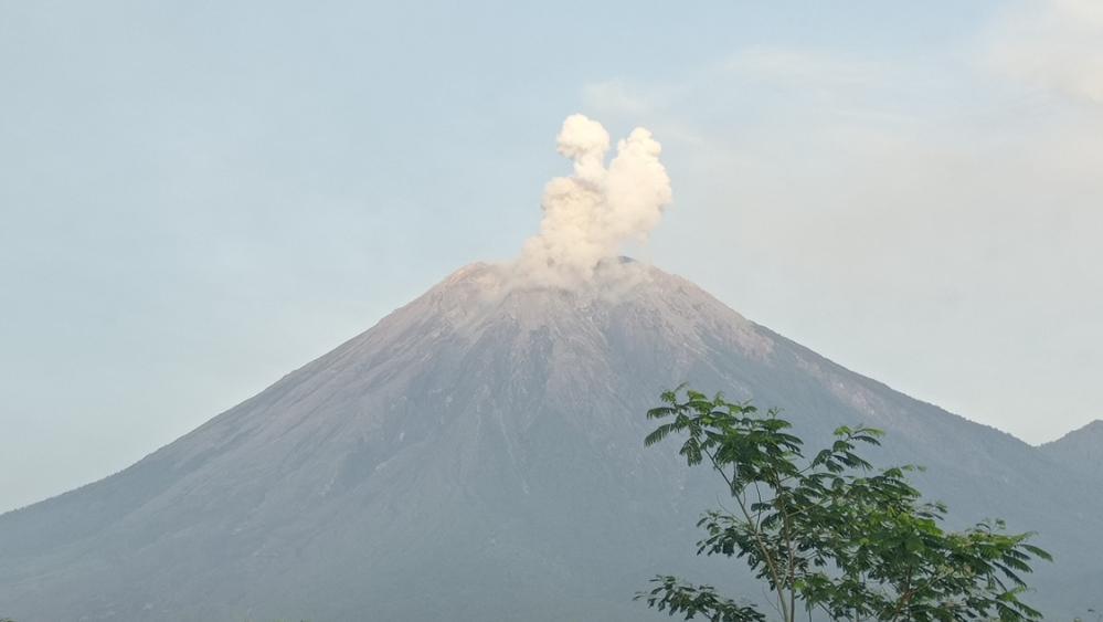 Gunung Semeru Erupsi 2 Kali Pagi Ini, Tinggi Letusan Capai 800 Meter