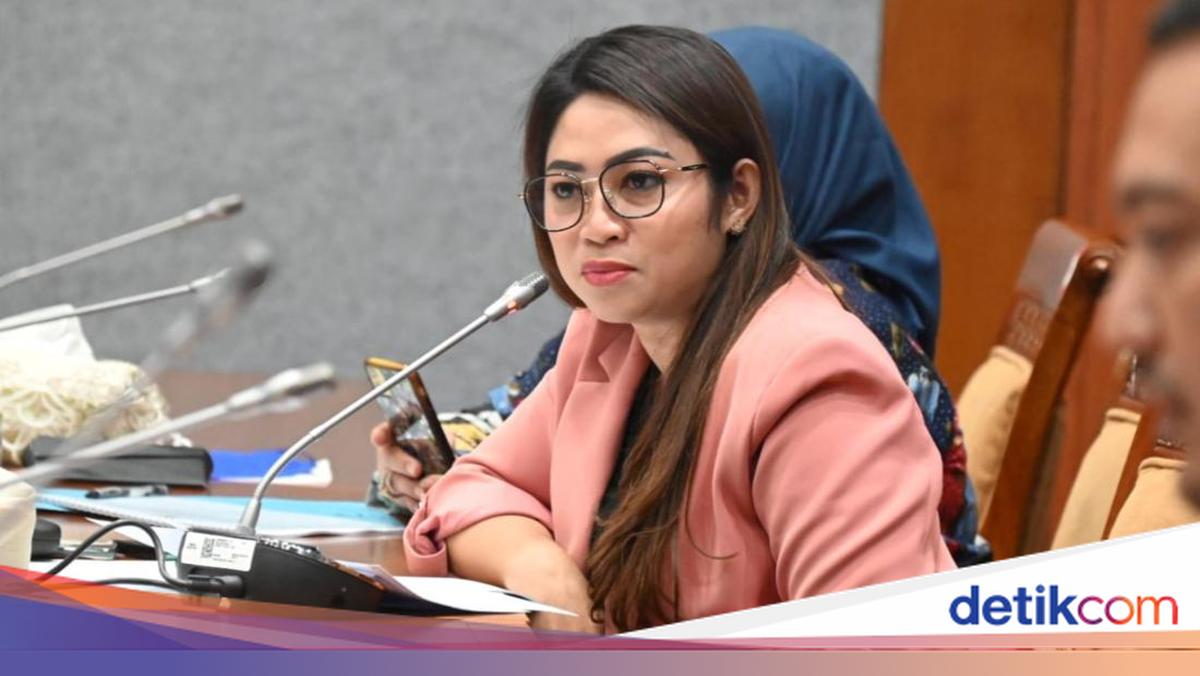 Legislator NasDem Eva Stevany Klarifikasi Usai Tercatat di Desil 4