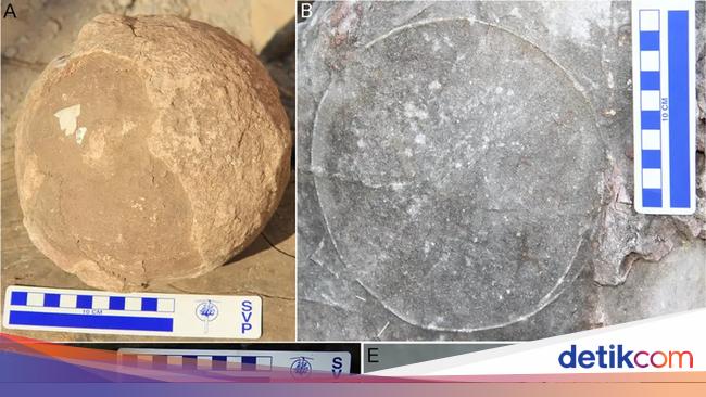 Appearance of Dinosaur Eggs Found in India, There Are 256 Items!