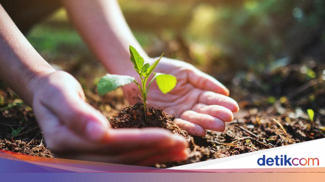 S&P Global Ratings: Skor ESG GoTo Lampaui Induk Facebook-WhatsApp