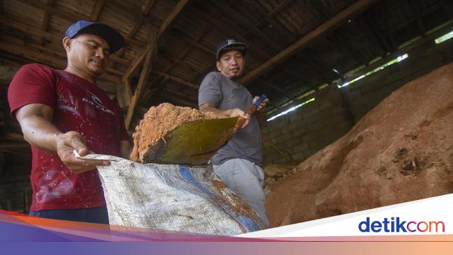 Energi Ini Bisa Gantikan Peran Batu Bara buat Produksi Listrik