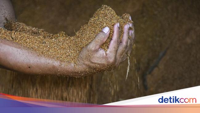 Biomassa Jadi Andalan Gorontalo Genjot PAD