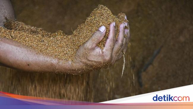 Urin Kelinci: Lebih dari Sekedar Limbah