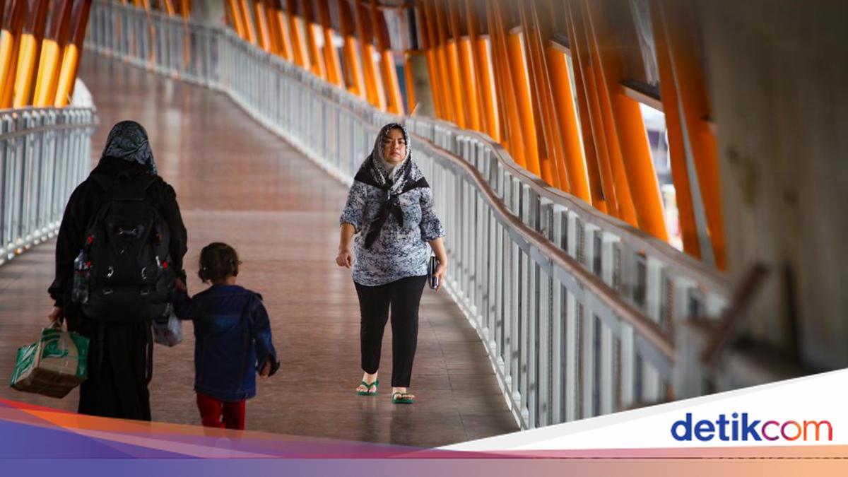 Kotoran Kucing di Skywalk Kebayoran Bikin Risi, Pemprov Colek TransJ