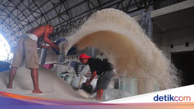Kopdes Merah Putih Belum Tentu Bisa Gantikan Tengkulak