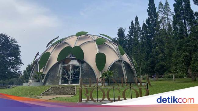 12 Tempat Liburan Wisata Akhir Tahun 2024, Ada yang Dekat Jakarta