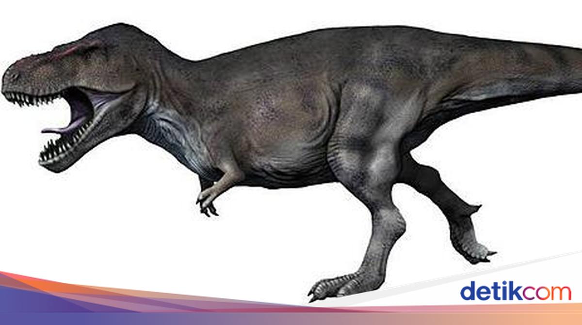 cluster (priority): detikcom The Evolutionary Trade-off: Why T-Rex Arms Shrank