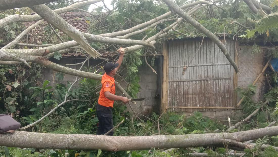 Hujan Angin Terjang Bogor Raya, 2 Orang Luka Dan Puluhan Rumah Rusak