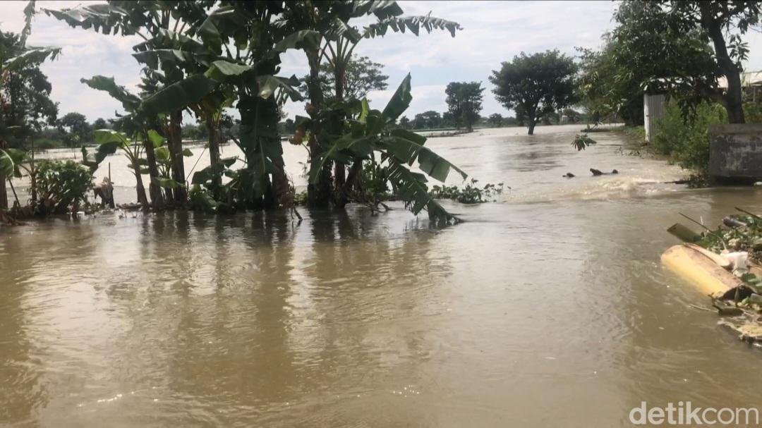 Banjir Lamongan Rendam Jalan Desa Hingga Tambak, Ketinggian Air 30 Cm