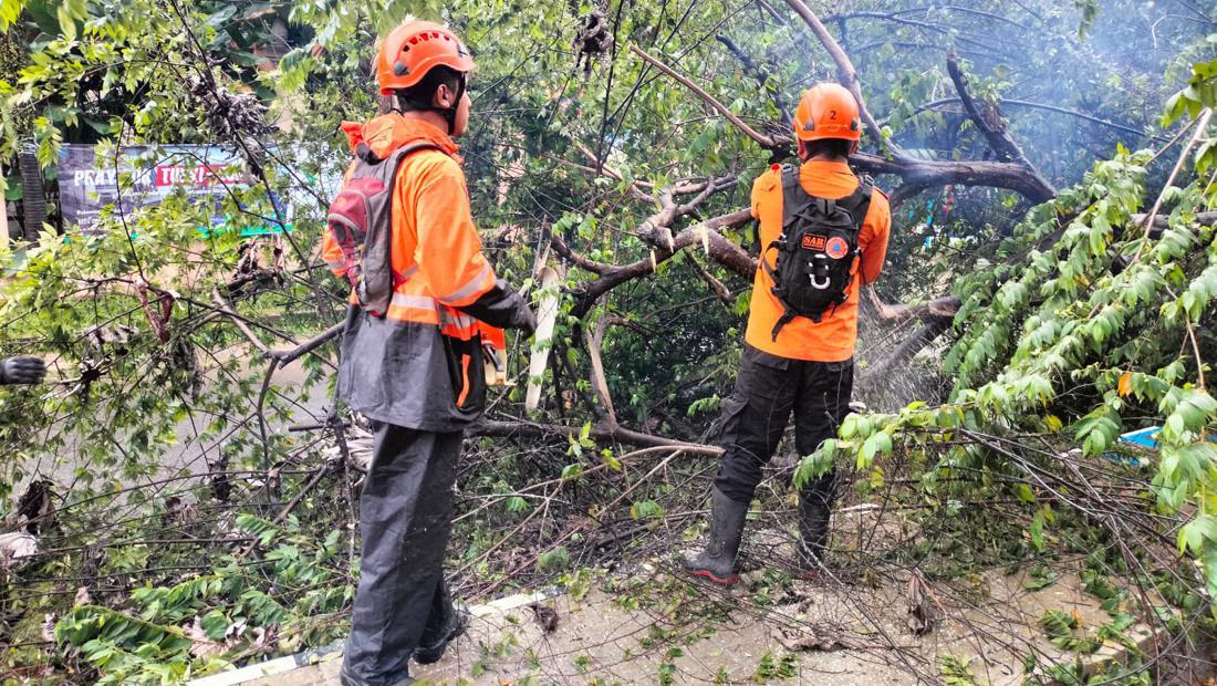 BPBD Catat 112 Bencana Di Kota Bogor Selama Maret 2023, 6 Orang Tewas