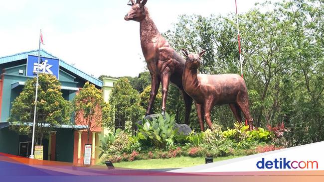 3 Rekomendasi Kebun Binatang Mini Di Batam