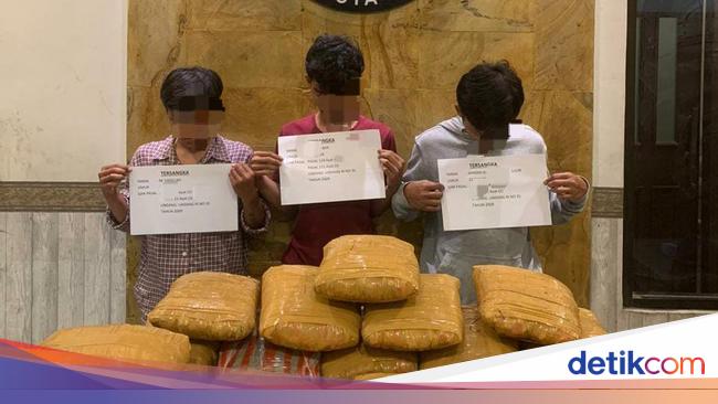 3 Pengedar 25 Kg Ganja Jaringan Sumut Ditangkap Di Jambi