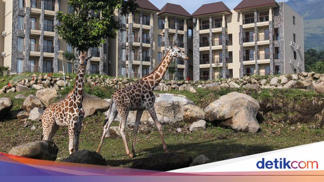 Jarang Tersorot, Ini Sosok Keluarga di Balik Taman Safari Indonesia