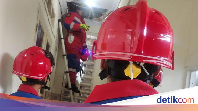 Debt Collector Prank Damkar: Evakuasi Ular Ternyata Disuruh Nagih Utang