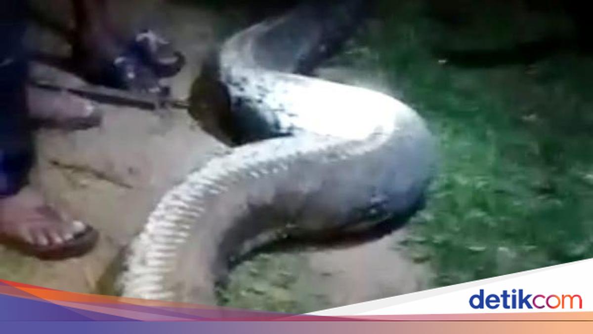 katta kokraklar uy qurilishi