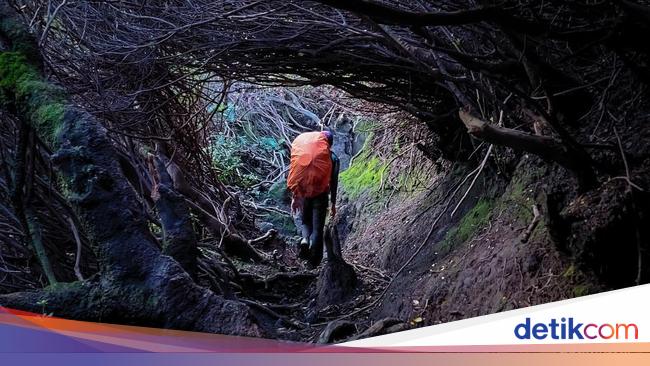 Mendaki Gunung Kian Digemari, Pemerintah Diminta Atur Kuota-Standar Pemandu