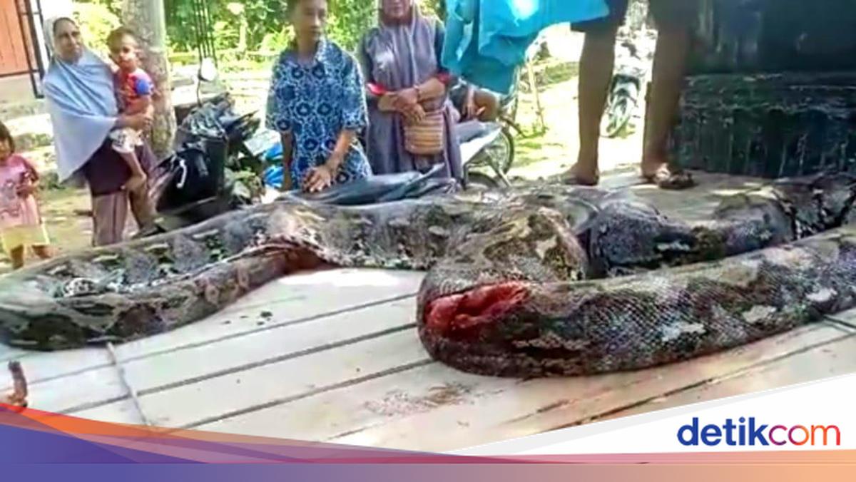 Jinsiy aloqa paytida tugish video Anissa Kate porno onlayn tomosha