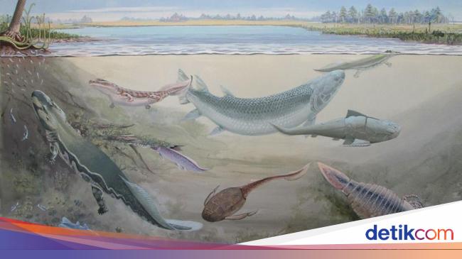 Scientists Reveal Ancient Fish Fossils 2.7 Meters Allegedly Predation of Human Ancestors